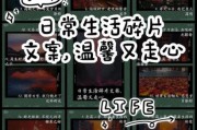生活碎片文案怎么写_诗词如何融入日常