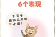 小猫咪幸福生活_如何让猫咪更快乐
