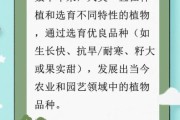 植物历史视频大全_如何系统观看植物演化史