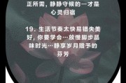 如何优雅生活_优雅文案怎么写