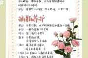 鲜花怎么养才长久_鲜花生活文案怎么写