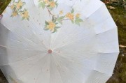 艺术活动雨伞怎么选_雨天拍照用什么伞好看