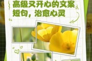 艺术文案短句开心_如何写出治愈系文案