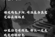 晚霞文案怎么写_生活匆忙如何治愈