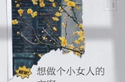 小女人文案生活怎么写_小女人文案生活有哪些风格