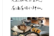 生活碎片文案怎么写_食物治愈系句子有哪些