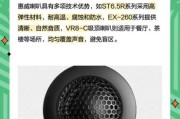艺术喇叭怎么选_艺术喇叭哪个品牌好