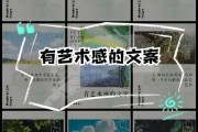 玩转艺术文案怎么写_艺术文案写作技巧