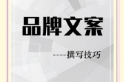 高级艺术文案怎么写_如何提升品牌调性