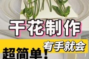 干花怎么保存不褪色_干花艺术装饰技巧