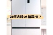 冰箱除味用什么好_冰箱异味怎么快速去除