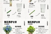 鲜花怎么养才能花期长_生活有鲜花如何选花