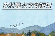 农村生活视频怎么拍_农村短视频文案怎么写