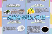 冰箱怎么除异味_冰箱除味小妙招