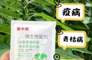 青岛中达农业杀菌剂怎么样_青岛中达农业产品效果好吗