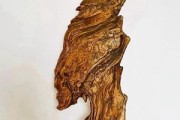 崖柏艺术是什么_崖柏艺术品如何保养