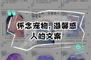 宠物艺术文案怎么写_宠物纪念文案有哪些