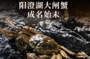 大闸蟹历史图片大全_大闸蟹最早出现在哪个朝代