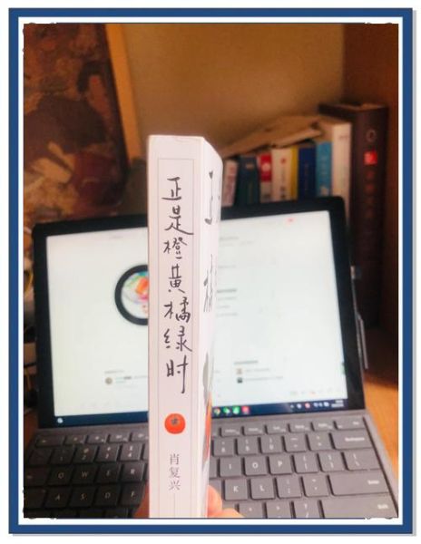 平淡生活如何找到救赎_为什么越平凡越需要治愈