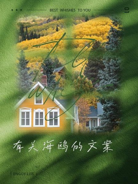 海鸥文案艺术图案怎么写_海鸥文案适合哪些场景