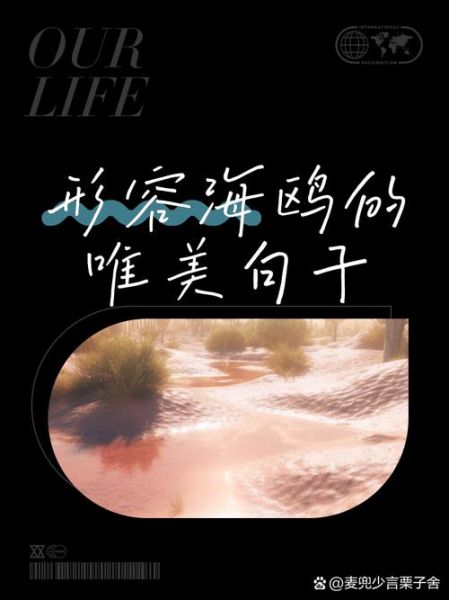 海鸥文案艺术图案怎么写_海鸥文案适合哪些场景