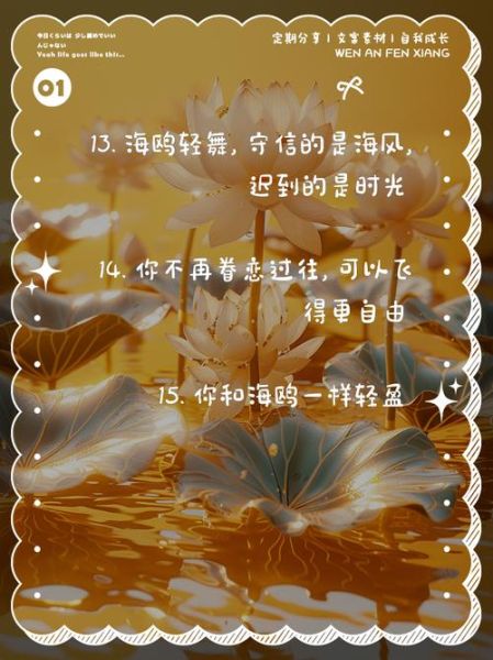 海鸥文案艺术图案怎么写_海鸥文案适合哪些场景