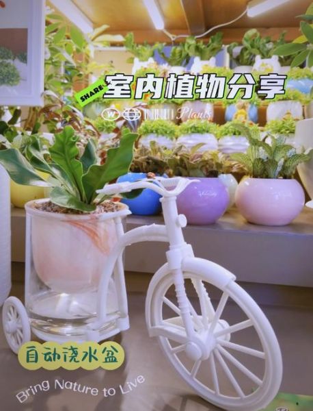 园艺博览会智能花盆怎么用_智能灌溉系统价格贵吗