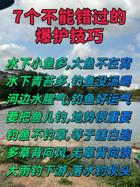 钓鱼怎么钓才能爆护_钓鱼生活文案搞笑