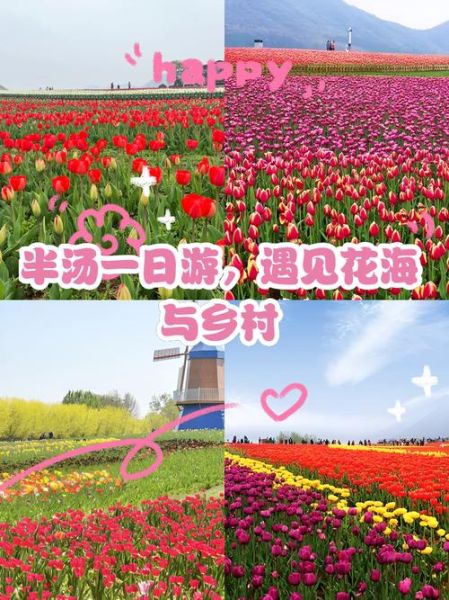 乡村一日生活怎么过_乡村一日游攻略