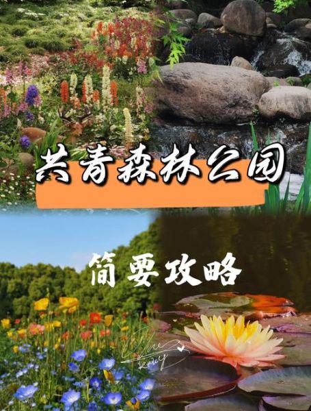 公园生活的好处有哪些_如何在城市公园享受慢生活