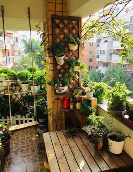 花木艺术是什么_如何打造室内微型花园