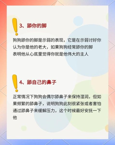 狗狗为什么总是舔人_如何纠正狗狗舔手习惯