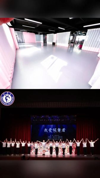 领舞艺术是什么_领舞艺术培训哪家好