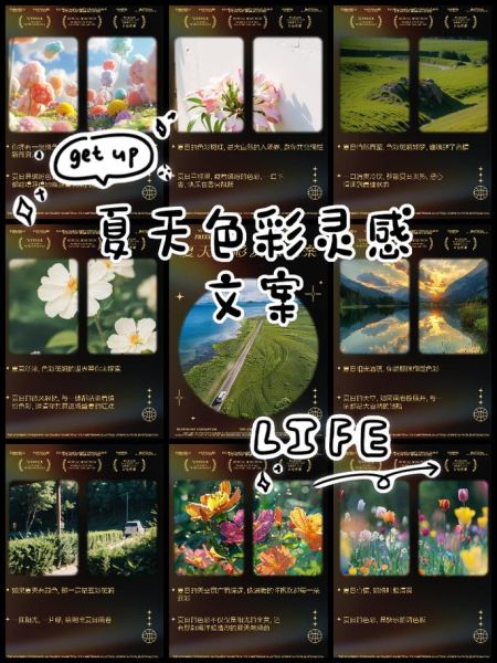 艺术夏天文案怎么写_有哪些灵感来源