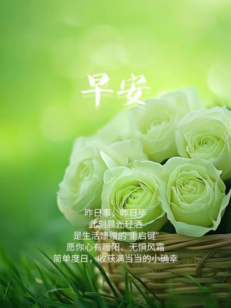 早上好怎么发朋友圈_早安文案怎么写才走心