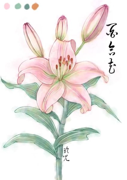 国风插画怎么画_国风配色技巧有哪些