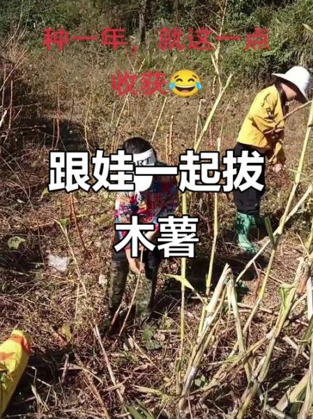 农村孩子玩什么_农村孩子童年趣事