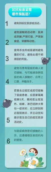 鼠年疫情历史大全_2020年发生了什么