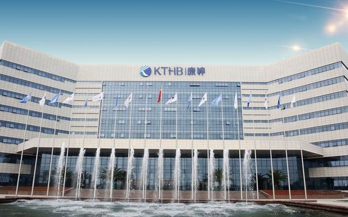 康得新高科技产品怎么样_康得新高科技产品有哪些