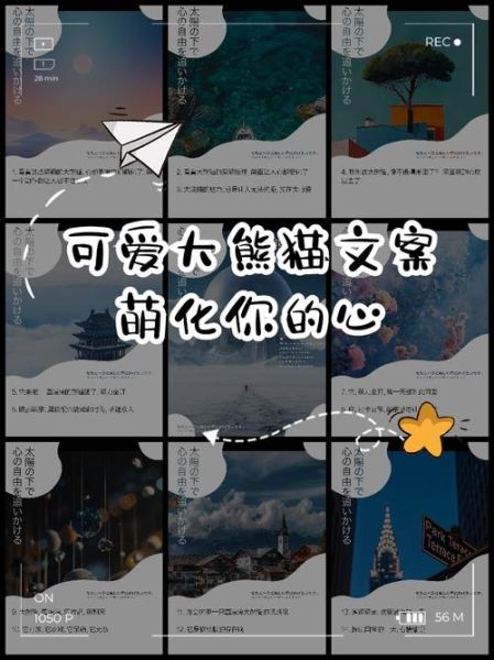 创意艺术熊猫怎么写文案_熊猫IP营销怎么做