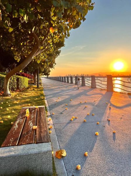 慢生活美景在哪里_如何拍出治愈感