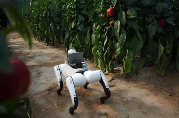 农民都在用哪些黑科技_农业黑科技产品有哪些