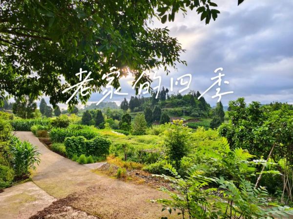 农村生活有哪些好处_农村生活真的好吗