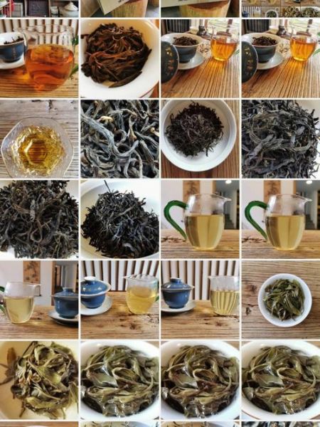 云南如珍生物科技产品怎么样_功效与价格对比