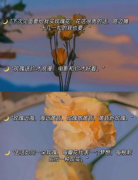 rose艺术文案怎么写_rose艺术文案有哪些经典句式