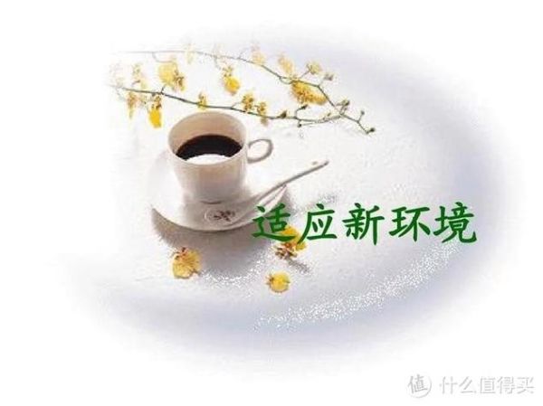 新朋友新生活_如何快速融入新环境