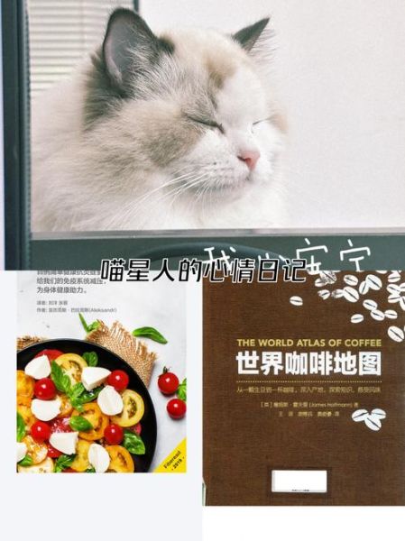 如何生活简单_简单生活的秘诀