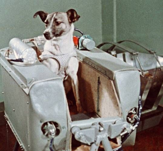 苏联发明了哪些科技产品_这些发明如何影响现代生活