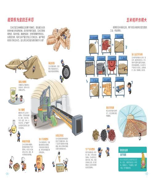 玉米起源地在哪里_玉米传入中国时间