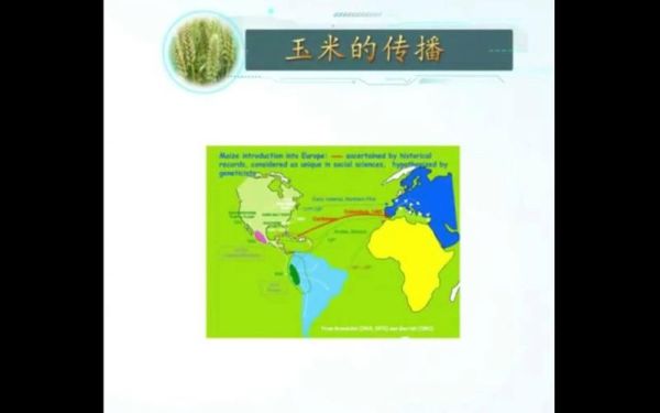 玉米起源地在哪里_玉米传入中国时间